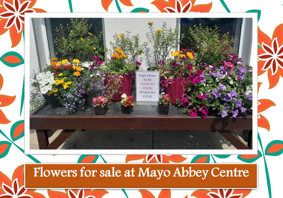 **Flowers For Sale At Mayo Abbey Centre**